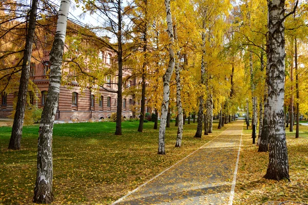 Электрообогреватели. Выбор эксперта