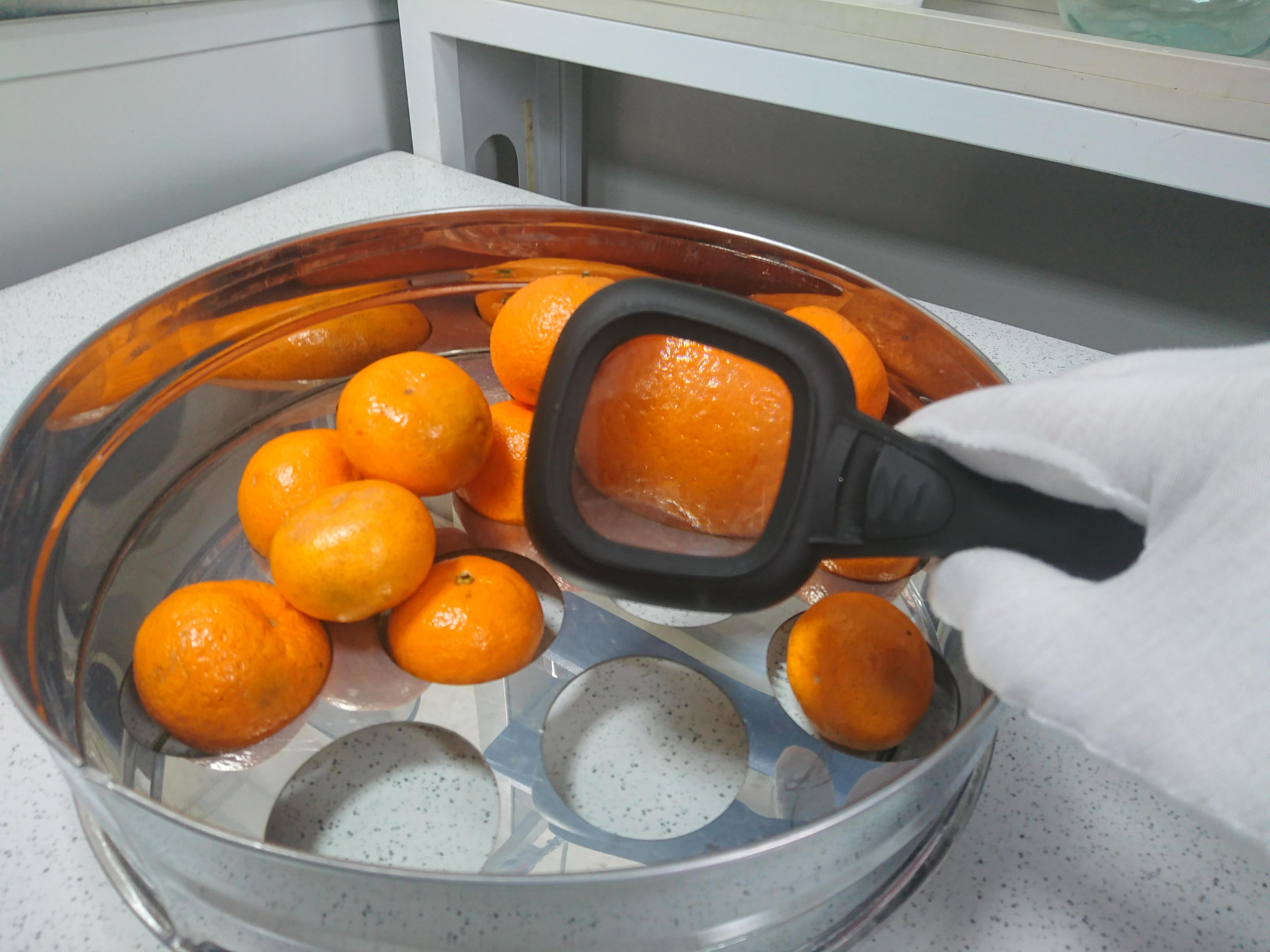 CITRUS RETICULATA
