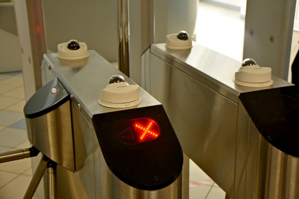 scale_1200 (3).jpg